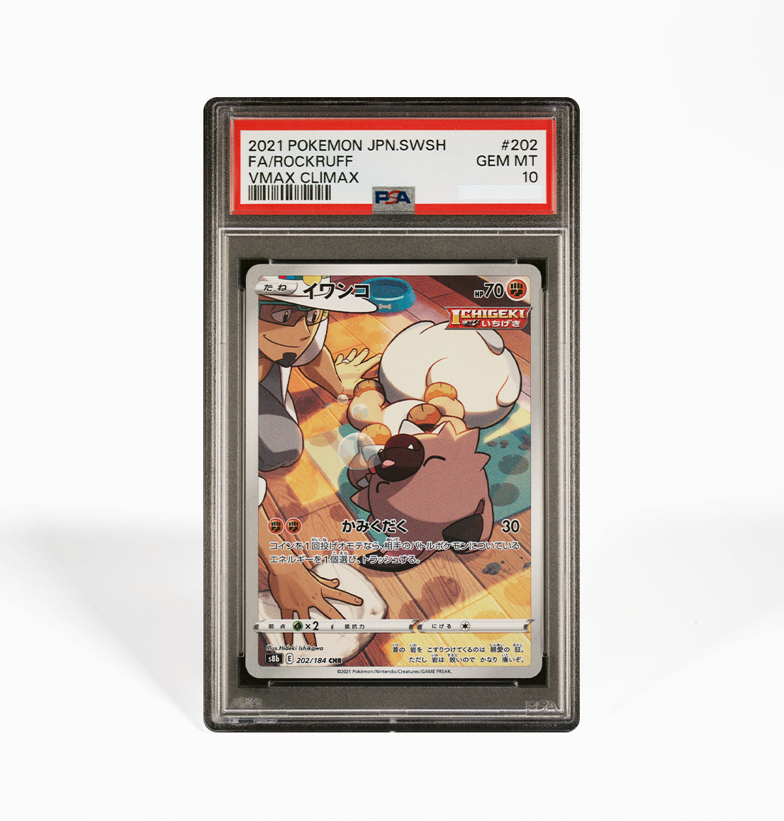 pokemon card rockruff PSA 10 Rockruff #202 VMax Climax S8B Japanese Pokemon card – GorillaTCG