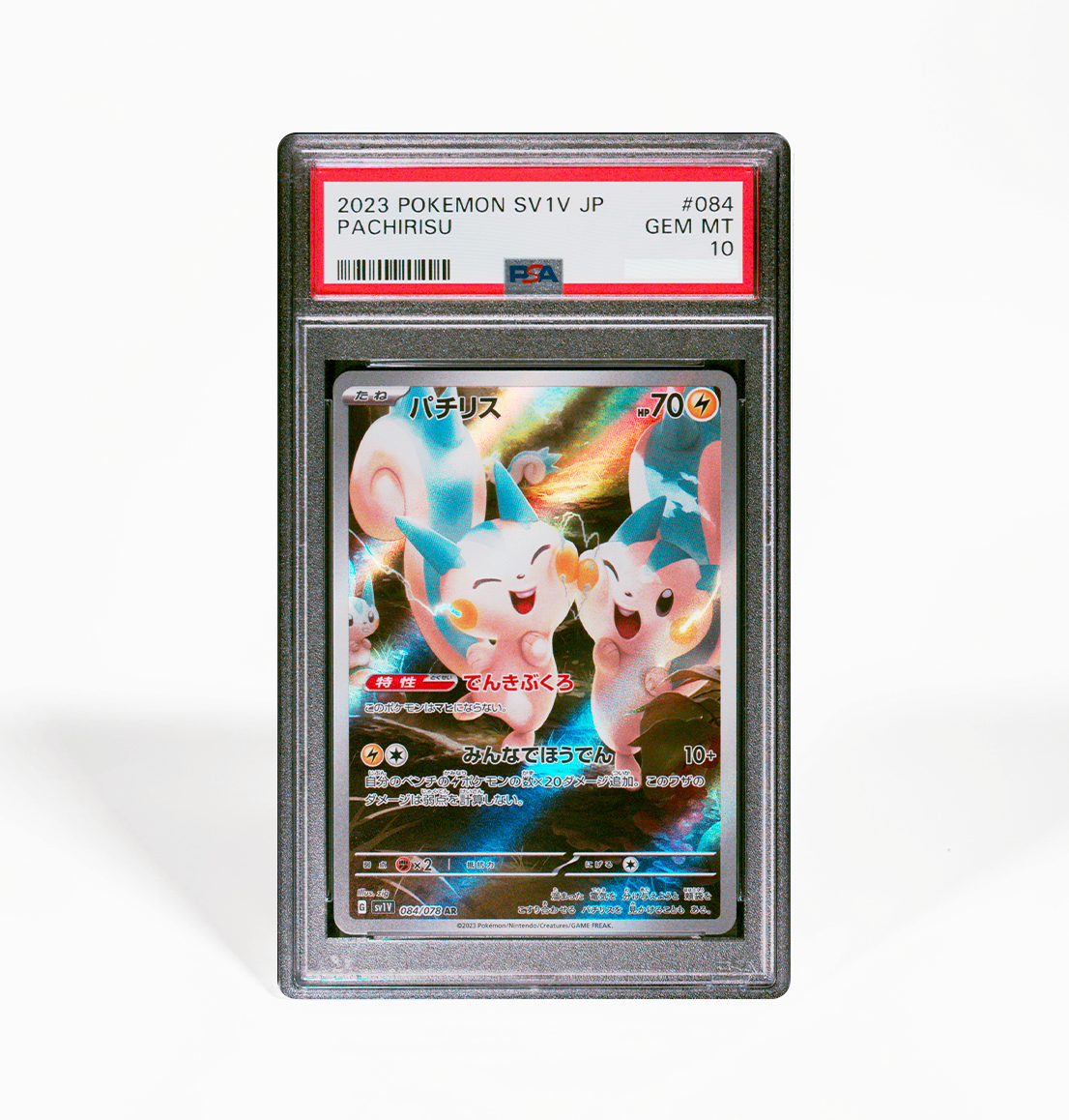 PSA 10 Pachirisu SV1V #084 Pokemon card GorillaTCG PSA 10 Pachirisu SV1V #084 Pokemon card GorillaTCG