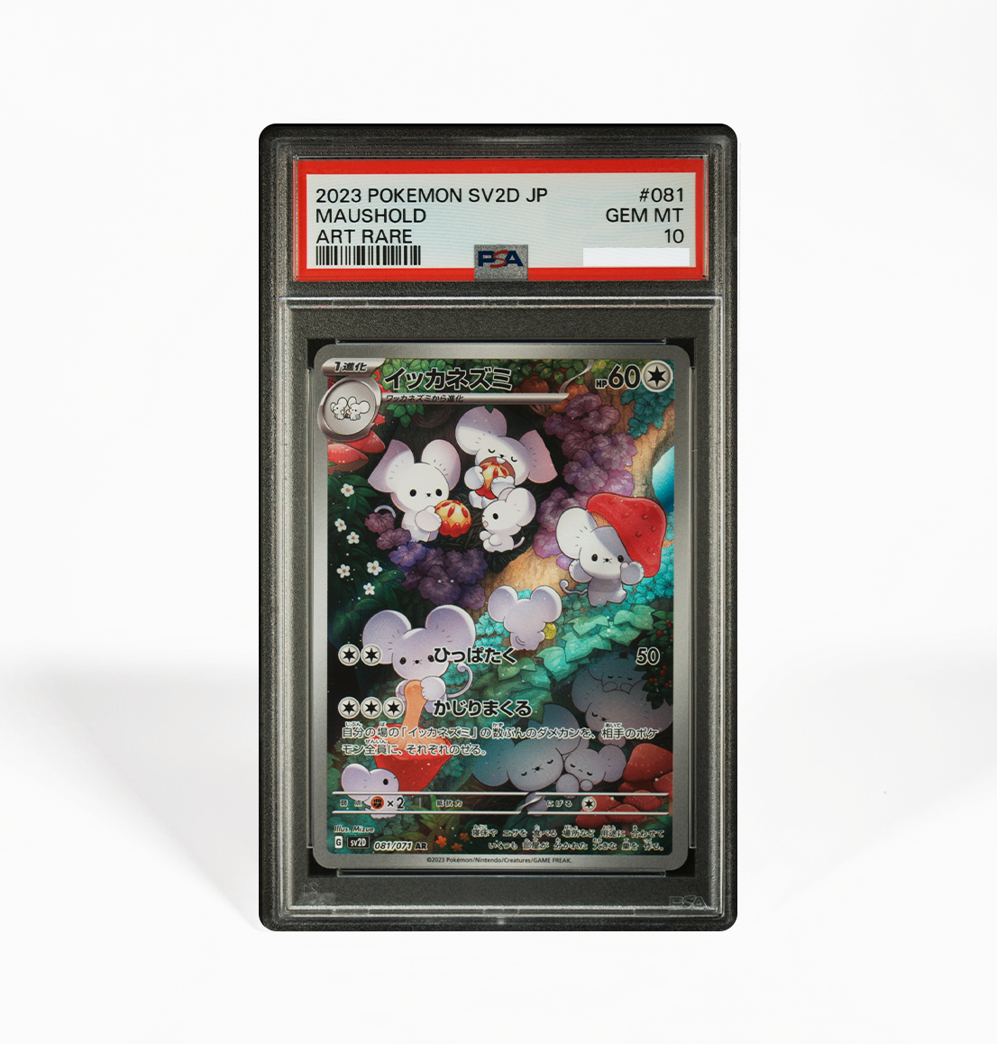 PSA 10 Maushold #081 Clay Burst SV2D Japanese Pokemon card PSA 10 Maushold #081 Clay Burst SV2D Japanese Pokemon card