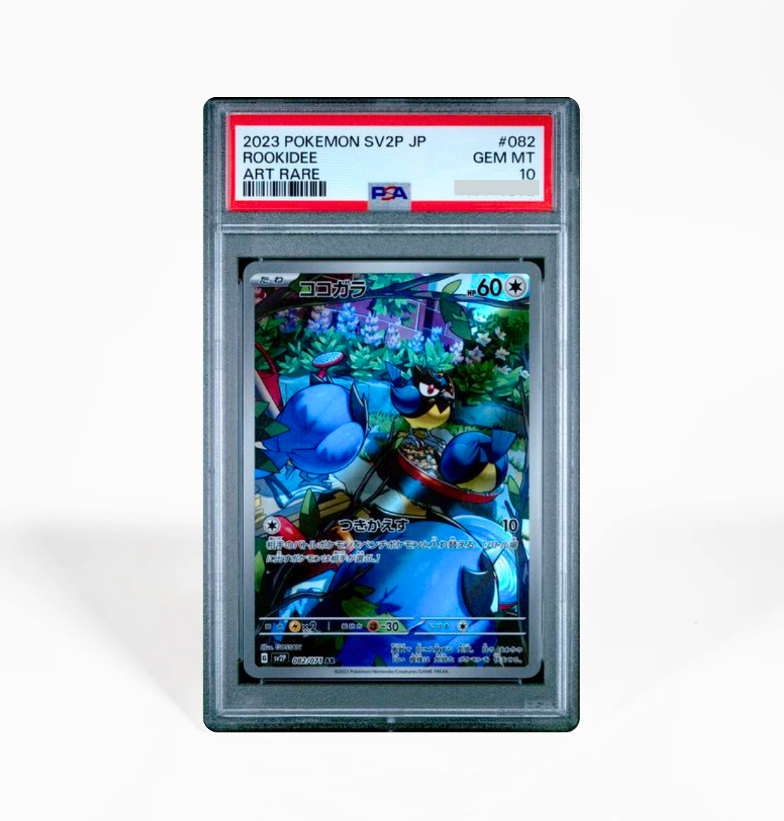 PSA 10 Rookidee Snow Hazard SV2P #082 Japanese Pokemon card GorillaTCG PSA 10 Rookidee Snow Hazard SV2P #082 Japanese Pokemon card GorillaTCG