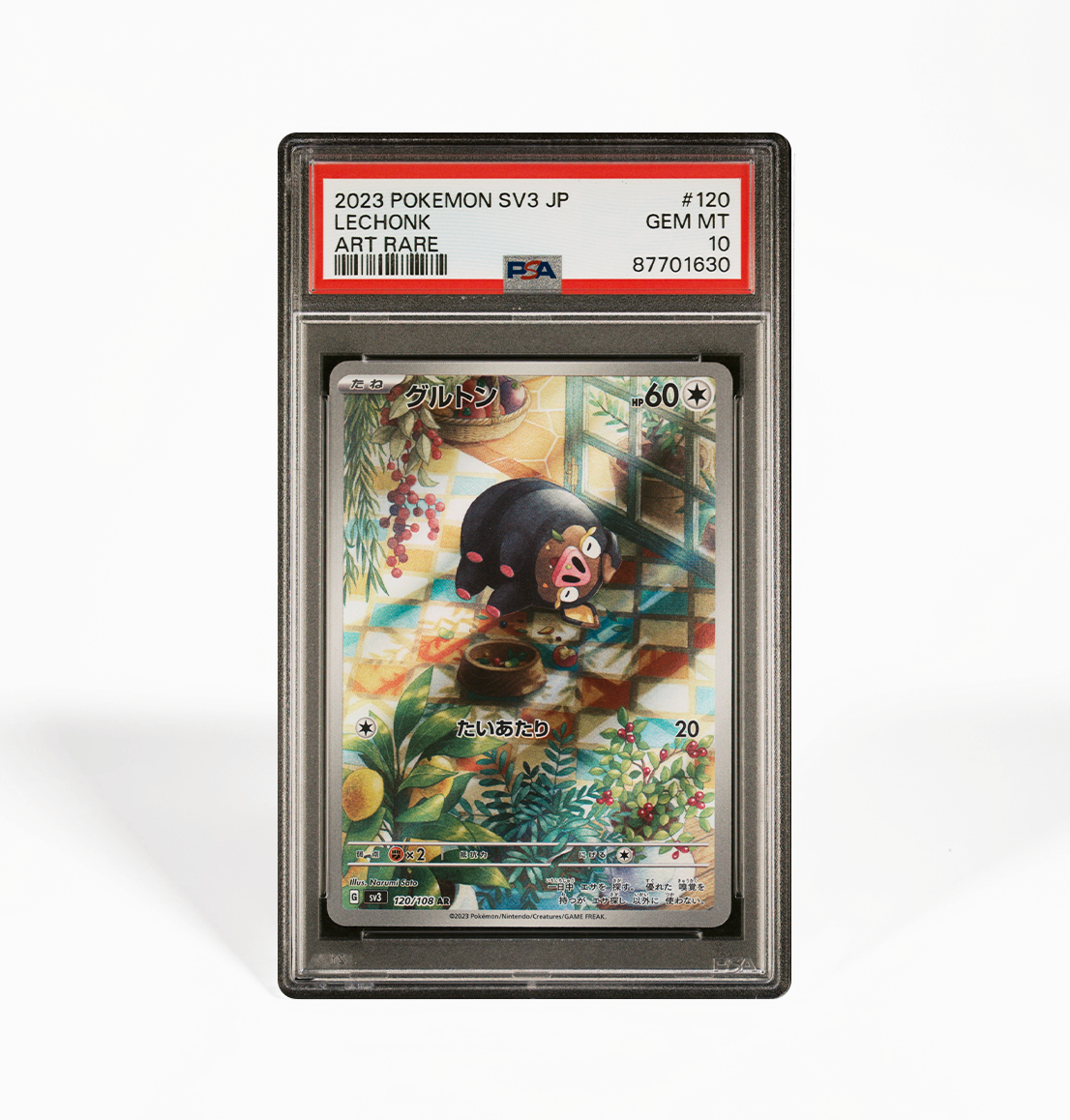 PSA 10 Lechonk #120 Ruler of the black flame SV3 Japanese Pokemon card