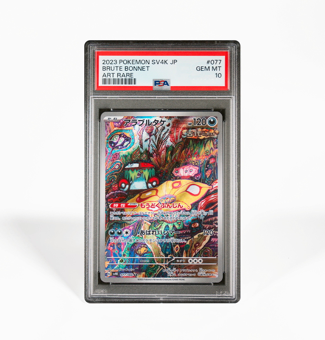 brute bonnet pokemon card PSA 10 Brute Bonnet #077 Ancient Roar SV4K Japanese Pokemon card