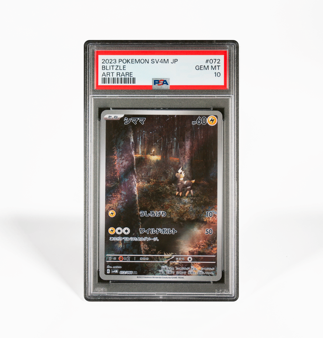 PSA 10 Blitzle #072 Future Flash SV4M Japanese Pokemon card