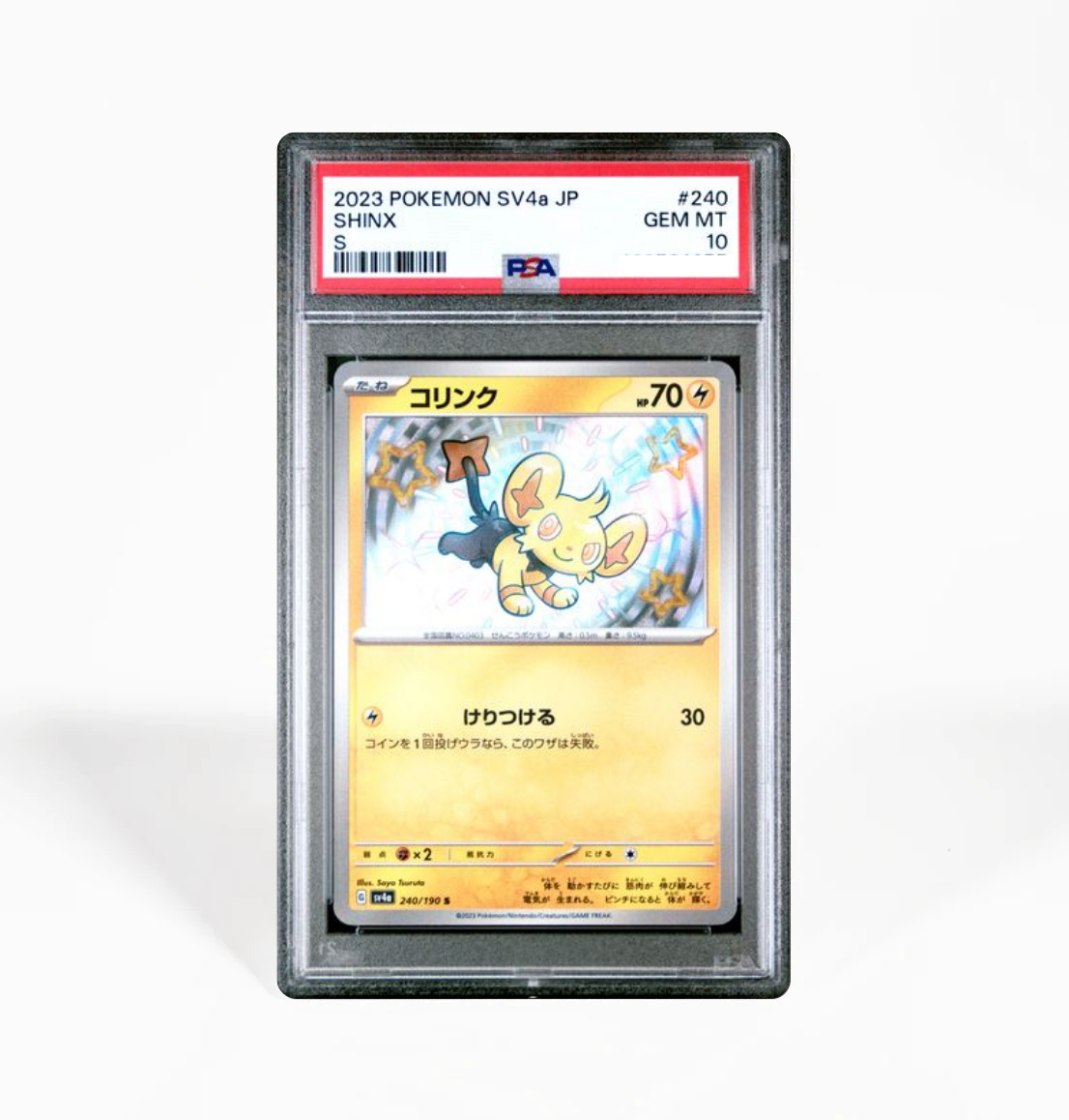 pokemon card shinx PSA 10 Shinx SV4a #240 Shiny Treasure ex Pokemon card – GorillaTCG