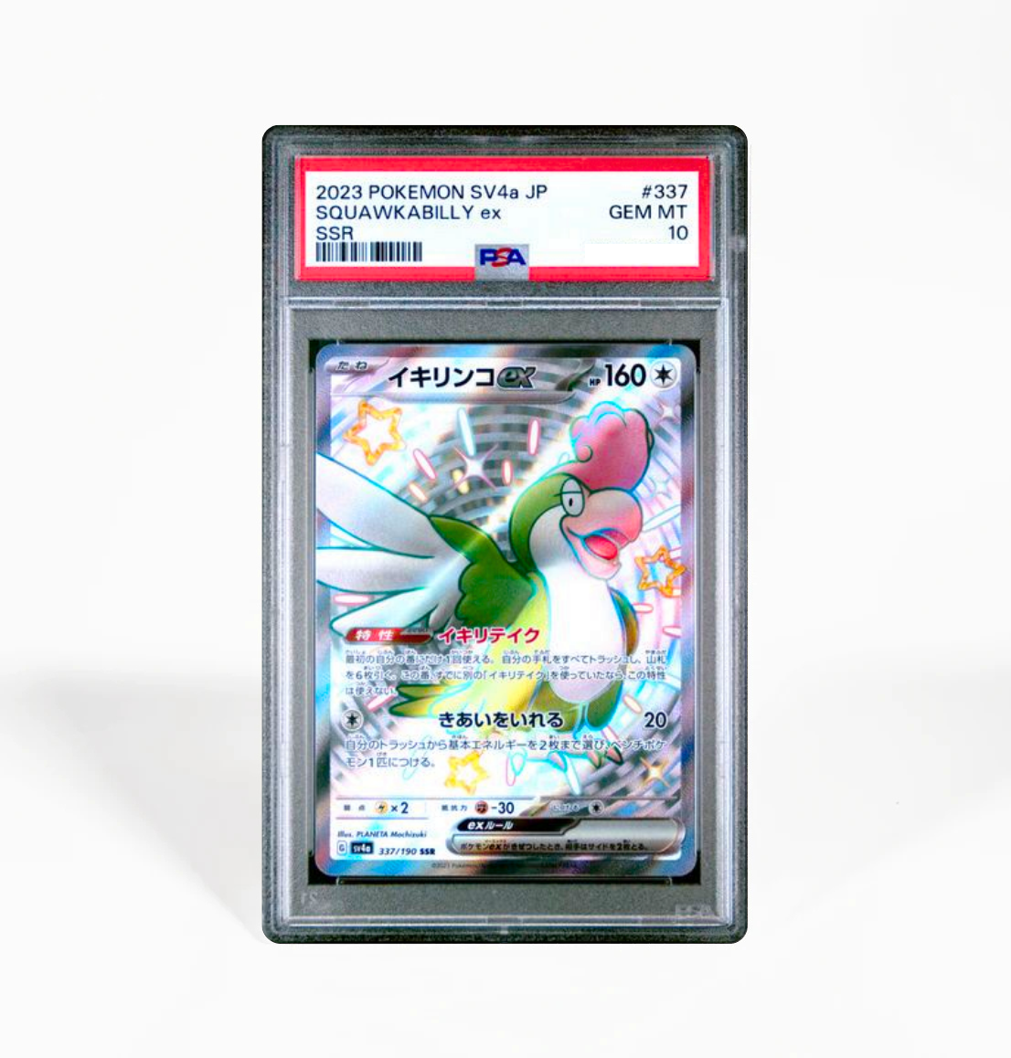PSA 10 Squawkabilly ex SV4a #337 Shiny Treasure ex Pokemon card – GorillaTCG