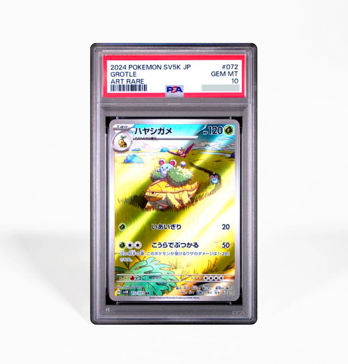 pokemon grotle card PSA 10 Grotle #072 Wild Force SV5K Japanese Pokemon card – GorillaTCG