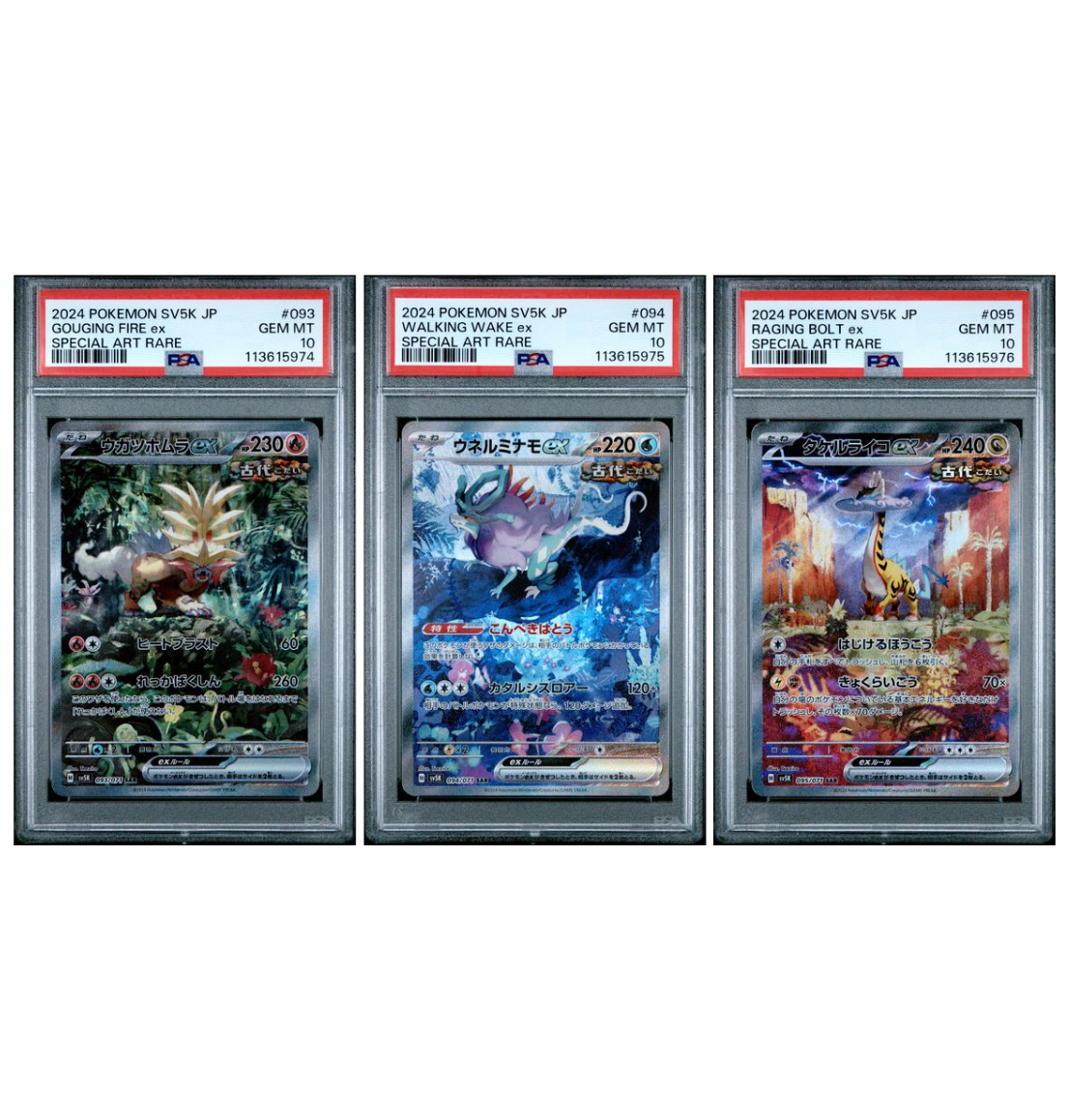 PSA 10 Sequential set Gouging Fire #093 Walking Wake #094 Raging Bolt GorillaTCG PSA 10 Sequential set Gouging Fire #093 Walking Wake #094 Raging Bolt GorillaTCG