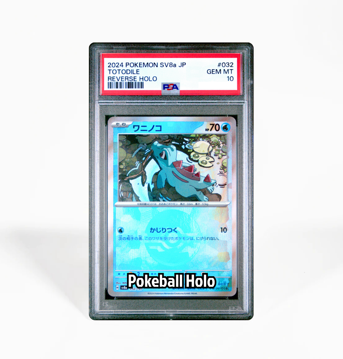 PSA 10 Totodile Pokeball Holo #032 Terastal Festival SV8a Japanese Pok GorillaTCG PSA 10 Totodile Pokeball Holo #032 Terastal Festival SV8a Japanese Pok GorillaTCG