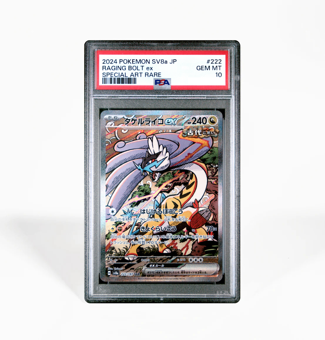 PSA 10 Raging Bolt ex #222 Terastal Festival SV8a Japanese Pokemon car GorillaTCG PSA 10 Raging Bolt ex #222 Terastal Festival SV8a Japanese Pokemon car GorillaTCG