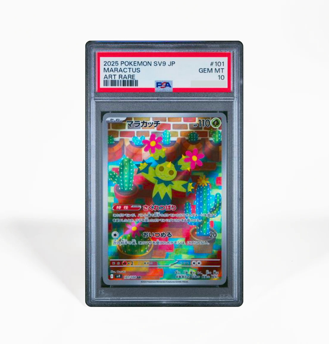 PSA 10 Maractus #101 Battle Partners SV9 Japanese Pokemon card GorillaTCG PSA 10 Maractus #101 Battle Partners SV9 Japanese Pokemon card GorillaTCG