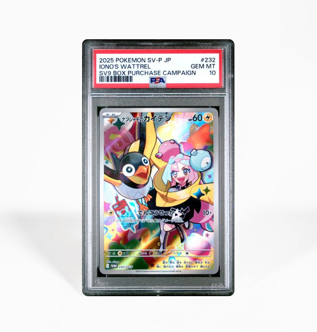 PSA 10 Iono's Wattrel Promo #232 SV-P Japanese Pokemon card PSA 10 Iono's Wattrel Promo #232 SV-P Japanese Pokemon card