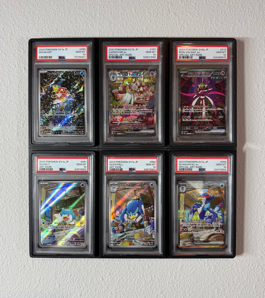 Modular Magnetic PSA Card Wall Display – 2×3 Layout (6 Cards)