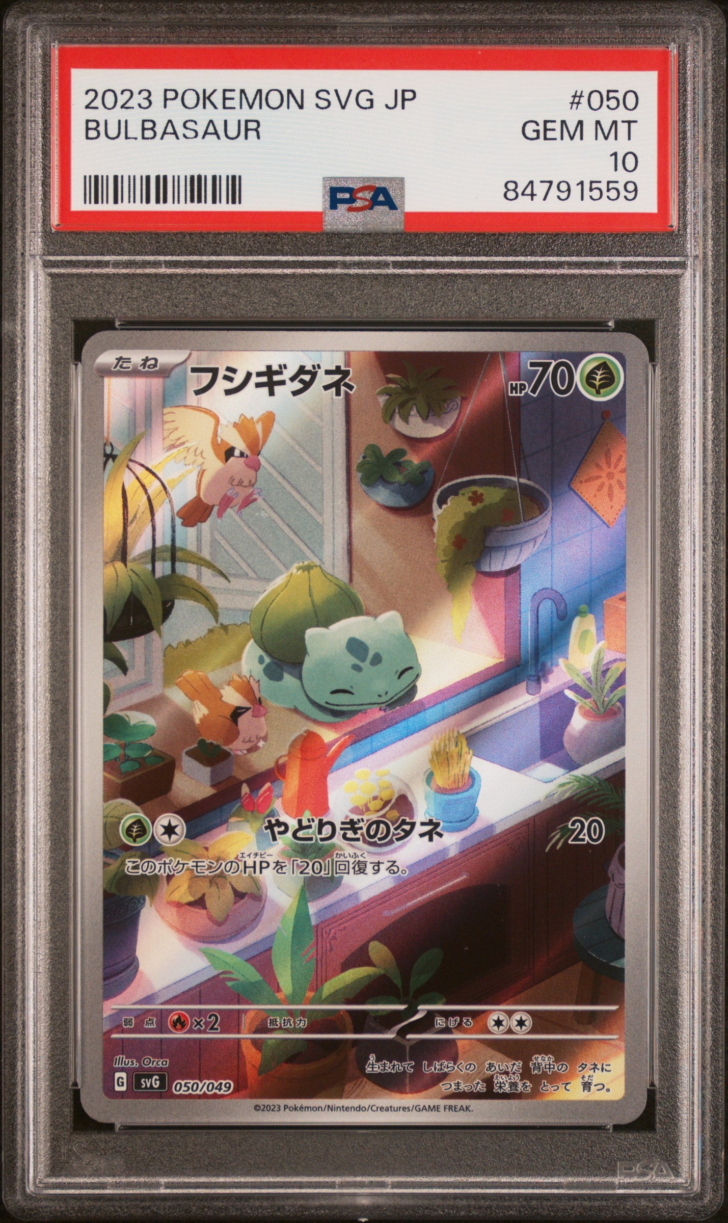 PSA 10 6 card sequential set special deck ex Venusaur, Charizard, Blastoise