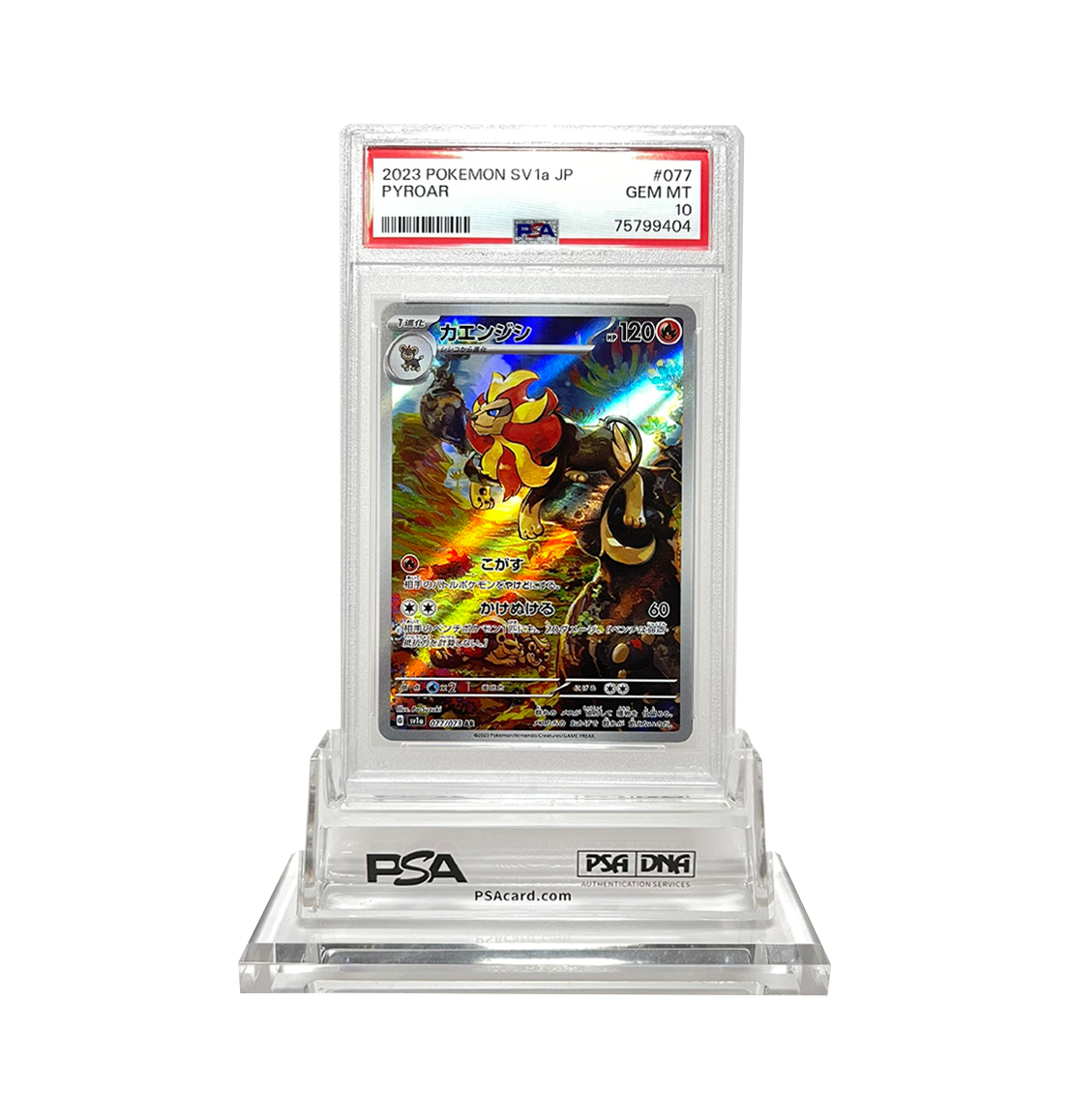 PSA 10 Graded Pyroar SV1a 077 Pokemon card