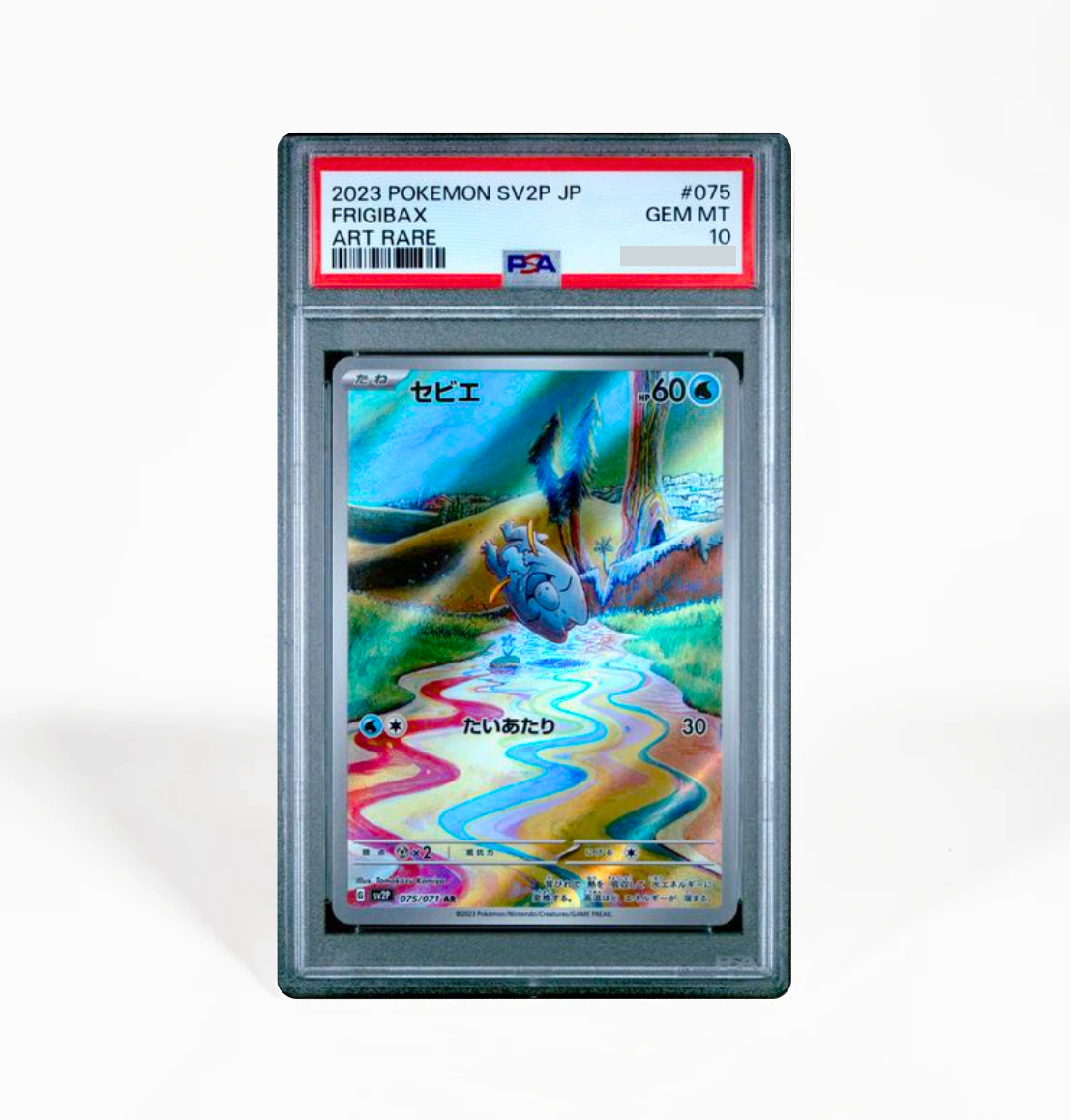 PSA 10 Frigibax Snow Hazard SV2P #075 Japanese Pokemon card – GorillaTCG