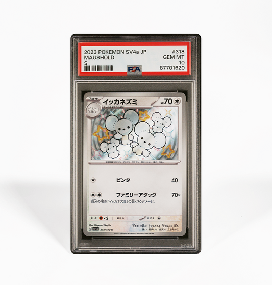 PSA 10 Maushold SV4a #318 Shiny Treasure ex Pokemon card