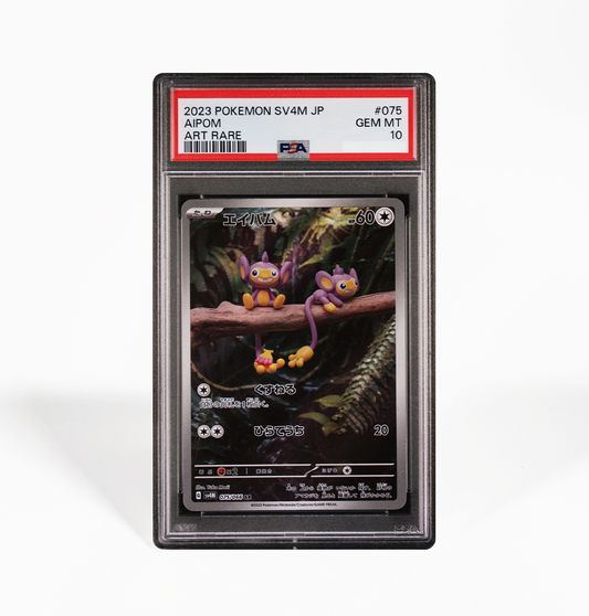 SV4K SV4M Ancient Roar & Future Flash GorillaTCG SV4K SV4M Ancient Roar & Future Flash GorillaTCG