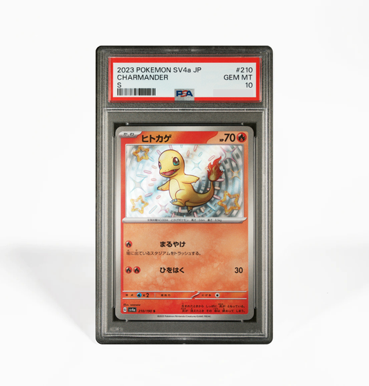 PSA 10 Charmander SV4a #210 Shiny Treasure ex Pokemon card