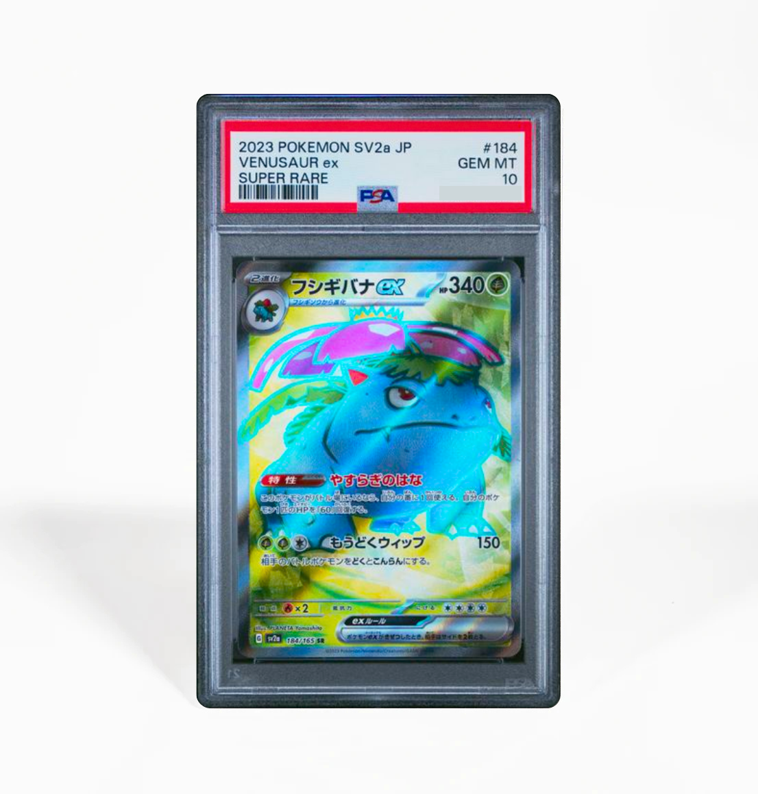 PSA 10 Venusaur ex #184 Pokemon 151 SV2a Japanese Pokemon card