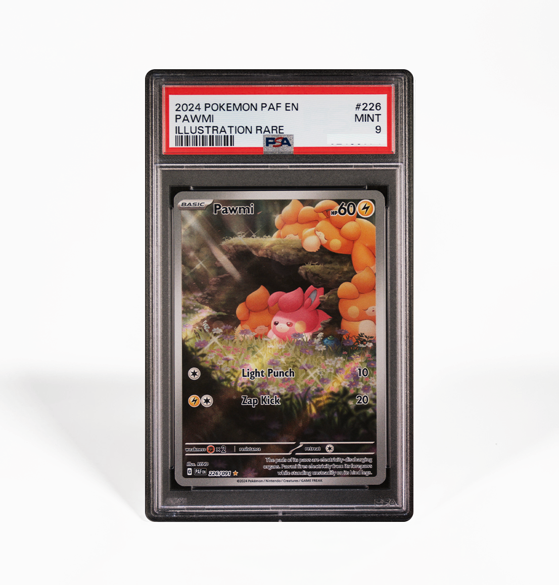 PSA 9 Pawmi Paldean Fates #226 Pokemon card