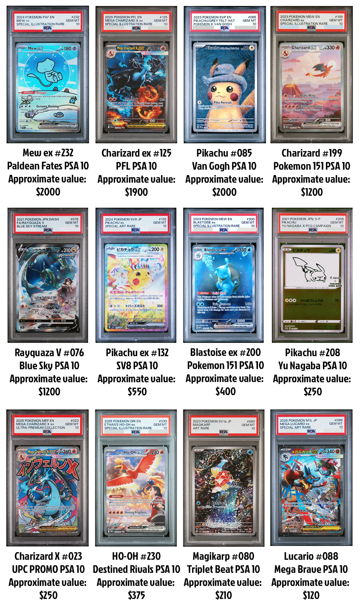 Gorilla TCG Pokemon Mystery Box – GorillaTCG